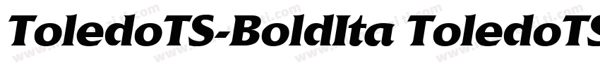ToledoTS-BoldIta ToledoTS-BoldIta字体转换